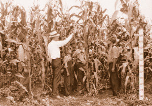 An Extension agent talks to farmers about corn production. This photo, by the late Extension editor Frank Jeter, was probably taken in the 1930s.
